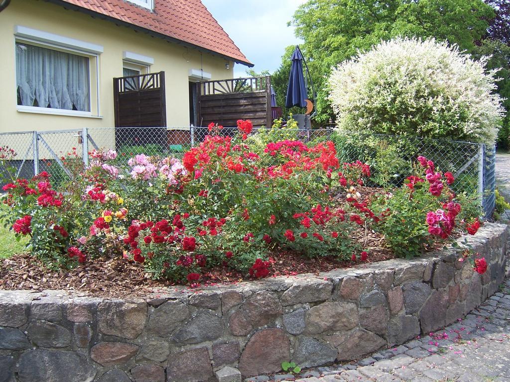 Hotel Haus Am Roseneck Luneburgo Exterior foto